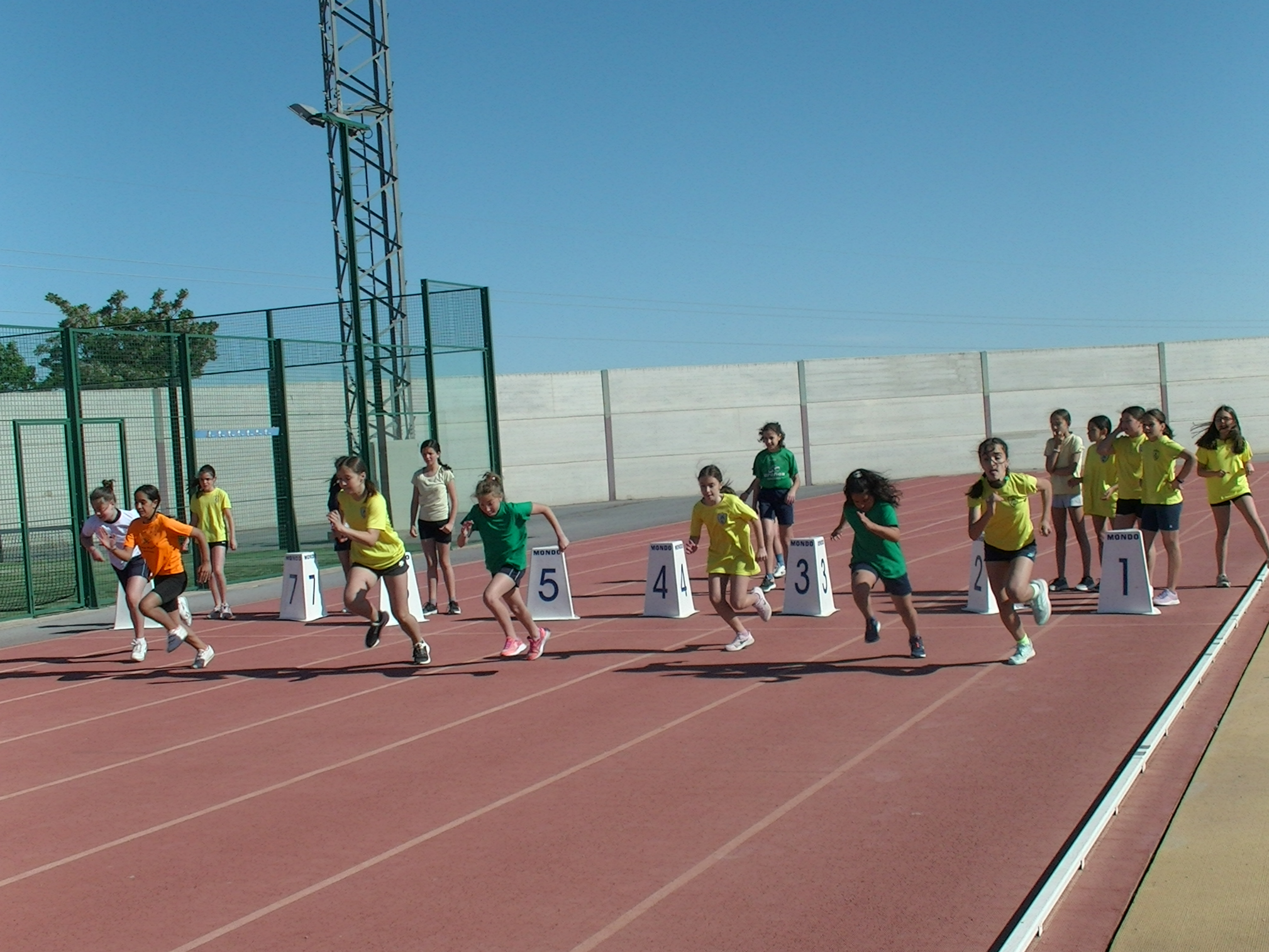 Las Olimpiadas Escolares Regresan Con éxito A La Pista De Atletismo