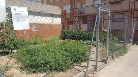 Huertos escolares