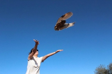 Aves liberadas