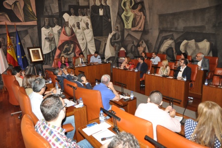 Pleno de Diputación Provincial de Ciudad Real