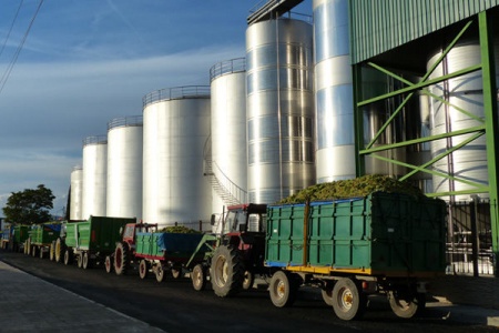 Campaña vendimia. Los cosecheros deben cuidar el transporte de las uvas y que no caiga sobre la calzada