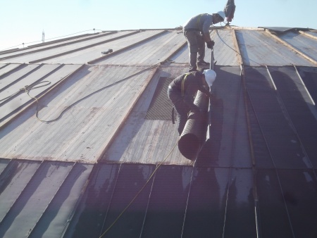 Trabajadores en pleno proceso 