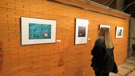 Exposición XII Premios 'Manzanares' Fotografía