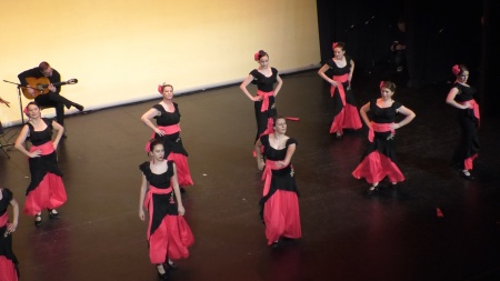 Festival de danza