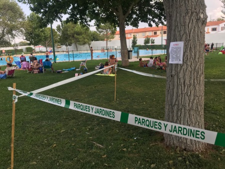 Plaga de galeruca en la piscina municipal