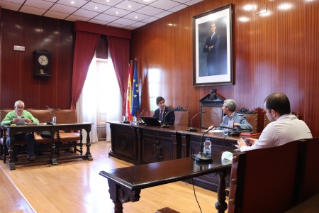 Reunión del Ayuntamiento con AEMPOMAN (20 de mayo de 2020) 