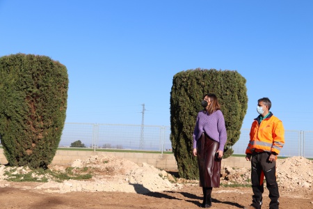 Replantación de cipreses para regenerar las zonas verdes