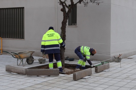 Personas trabajando en Manzanares