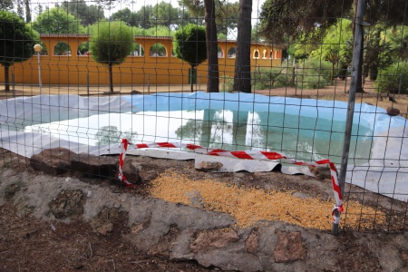 Una de las balsas habilitadas en el parque para las aves acuáticas