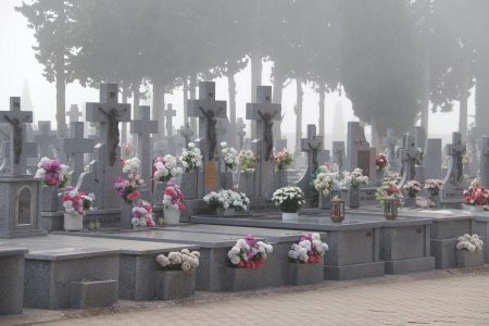 Cementerio municipal 