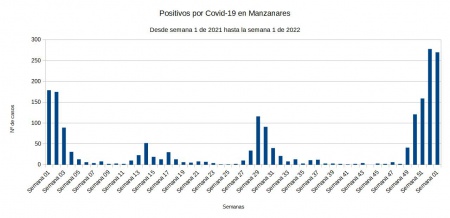 Evolución de positivos por Covid durante 2021 en Manzanares