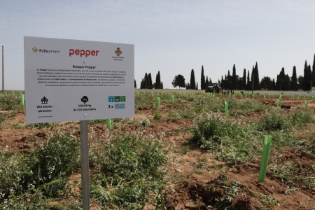 Segunda plantación de Folia Project en Manzanares