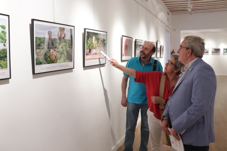 Exposición 'In vino veritas - En el vino está la verdad'