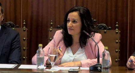 Prado Zúñiga durante su intervención en el pleno