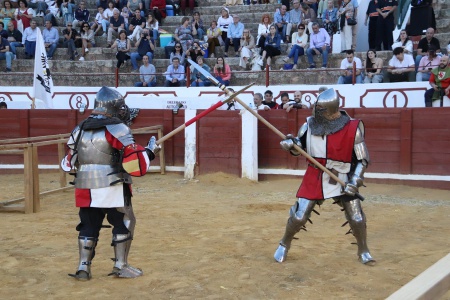 Jornadas Medievales 2024