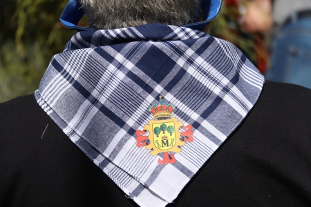 Romería de San Isidro Manzanares