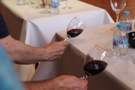 Cata de vino (Fercam 2024)
