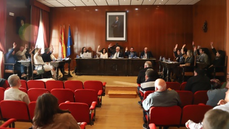 Unanimidad en la votación - Pleno ordinario del Ayuntamiento de Manzanares (marzo 2026)
