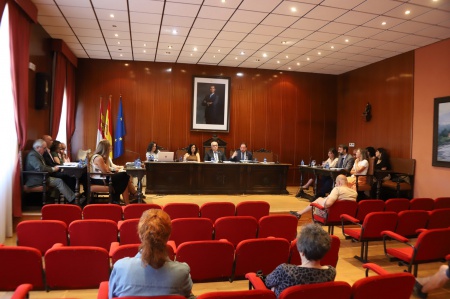 Pleno ordinario julio 2026