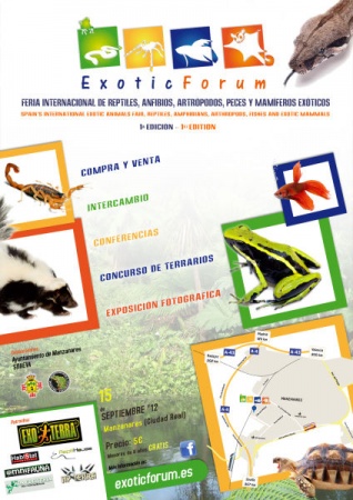 I Feria Reptiles