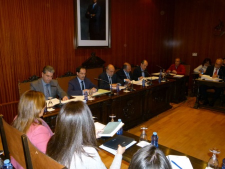 Vista de la sesión plenaria de enero