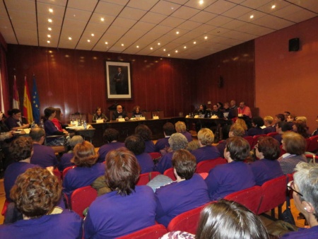 Pleno Ciudadano 25N