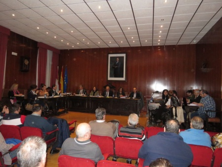Pleno Febrero