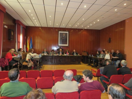 Pleno Ordinario del Ayuntamiento de Manzanares