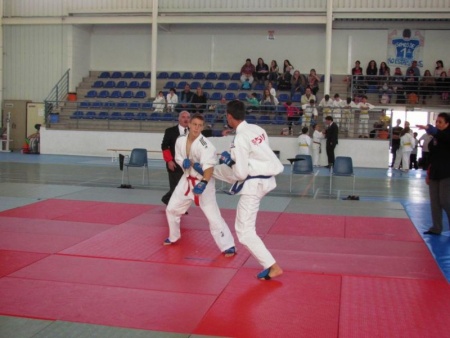 Prueba de kumite en el regional de 2015