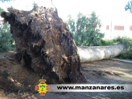 Temporal en Manzanares