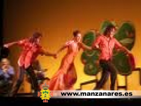 Flamenco en cuatro estaciones