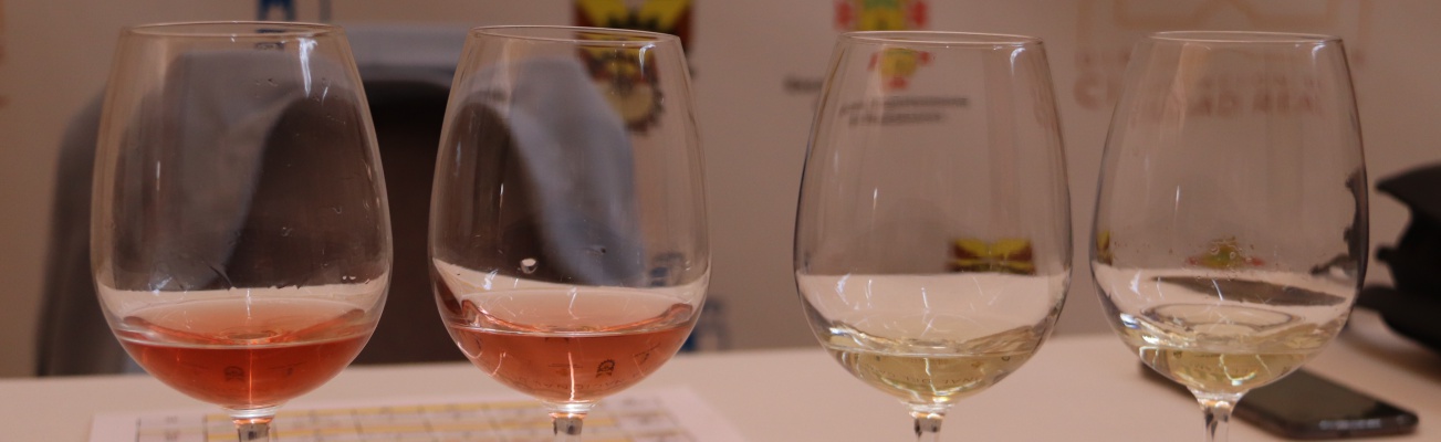 Momento de una de las catas del concurso de vinos de la edición de 2024