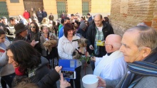 La bendición de animales se celebró a las dos de la tarde