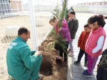 Los menores son guiados por personal municipal de jardinería 