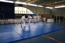 Clausura curso de la Escuela Municipal de Judo