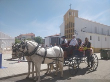 Divina Pastora 2019