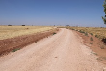 Mejora y acondicionamiento de caminos rurales en Manzanares