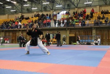 Campeonato Regional de Karate