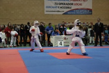 Campeonato Regional de Karate