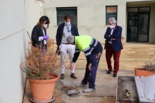 Comienzan las obras de remodelación de la terraza de la BPM Lope de Vega