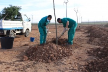 Recuperación de una zona verde en el polígono industrial