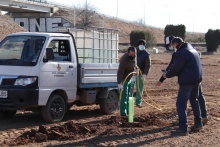 Plantación de 1000 árboles en el polígono industrial