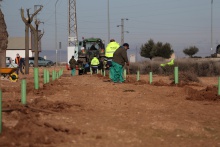 Plantación de 1000 árboles en el polígono industrial