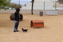 Parque canino de la calle Clara Campoamor