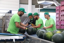 Visita de Julián Nieva y Pablo Camacho a Mercomancha