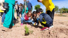 Día del Árbol 2024