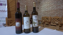 Presentación de los vinos de la cosecha 2025 de Acicate