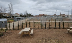 Vista general de los huertos urbanos