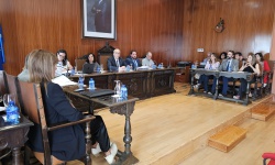 Momento del pleno ordinario de mayo de 2025
