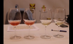 Momento de una de las catas del concurso de vinos de la edición de 2024